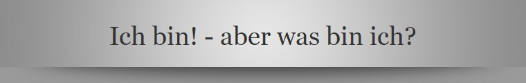 Ich bin! - aber was bin ich?